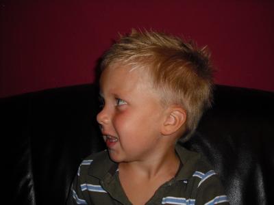 Vienna Hairstyle 2010 042.jpg
