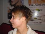 Vienna Hairstyle 2010 130.jpg