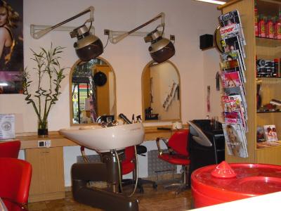 Vienna Hairstyle 2010 155.jpg