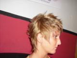 Vienna Hairstyle 2010 110.jpg