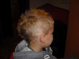 Vienna Hairstyle 2010 5 040.JPG