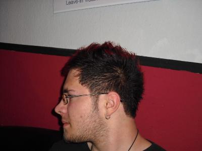Vienna Hairstyle 2010 149.jpg