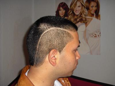 Vienna Hairstyle 2010 005.jpg