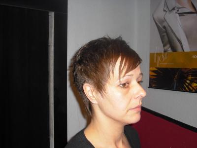 Vienna Hairstyle 2010 5 030.JPG