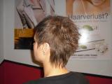 Vienna Hairstyle 2010 5 029.JPG