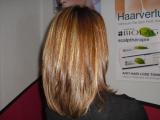 Vienna Hairstyle 2010 141.jpg