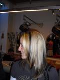 Vienna Hairstyle 2010 162.jpg