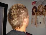 Vienna Hairstyle 2010 013.jpg